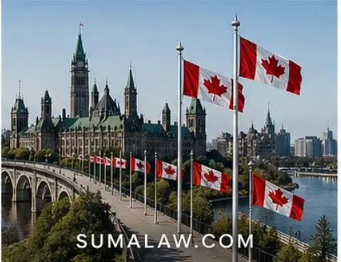 Real Estate Lawyer's Role